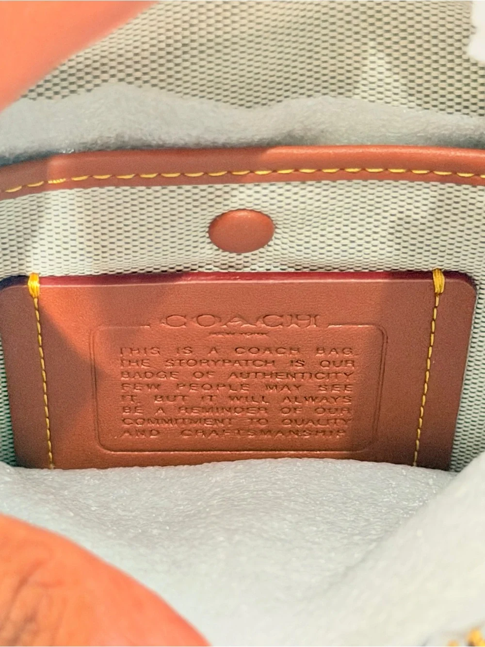 Coach Loved Leather Rogue 31 Bag Brass/Green Rub-off Soft Full Grain leather NWT